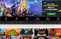 Playamo Casino Review